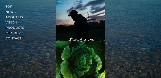 TESIO Web 〜Renewal〜