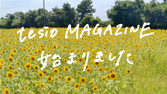 tesio MAGAZINE始まりました