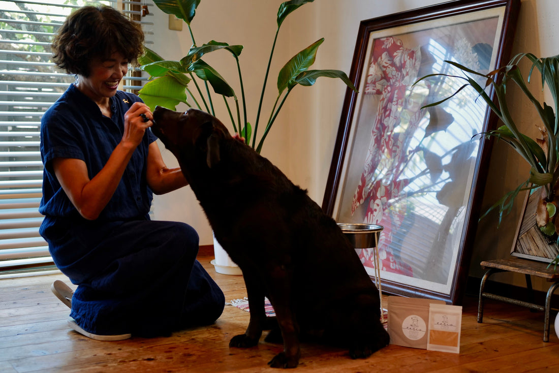 大切な家族へ、想いを込めた一杯を。「tesio POWDER For Pets」が新登場
