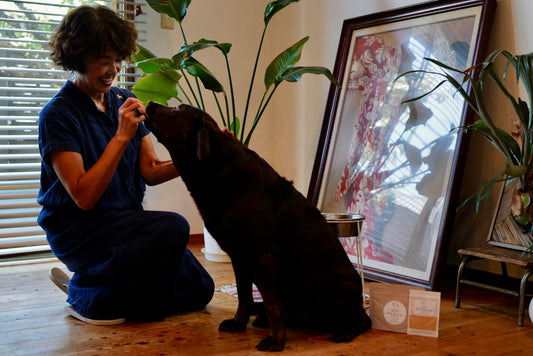 大切な家族へ、想いを込めた一杯を。「tesio POWDER For Pets」が新登場
