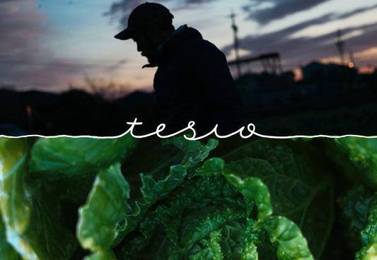 TESIO FOODSをオープンしました。